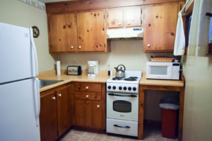 Birch Cabin Kitchen