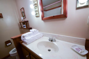 Birch cabin bathroom